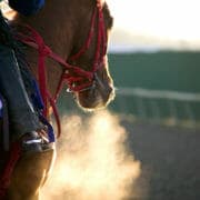 iStock_000005101036Small