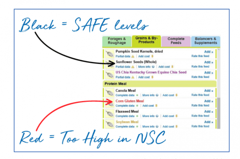Feeds labelled by NSC content in FeedXL