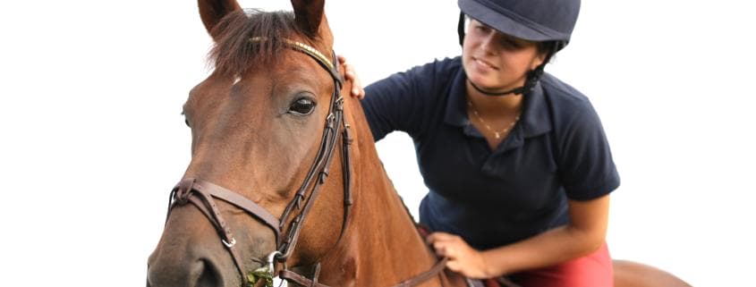 A rider patting her horse after exercise