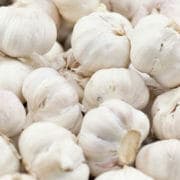 garlic Many garlic cloves, which are sometimes fed to horses