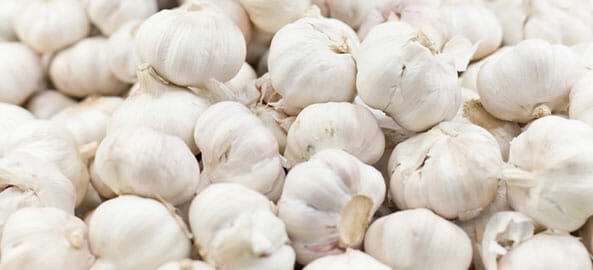 Many garlic cloves, which are sometimes fed to horses