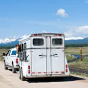 iStock_000010860374Small A horse inside of a horse trailer being pulled by a truck down a rural road