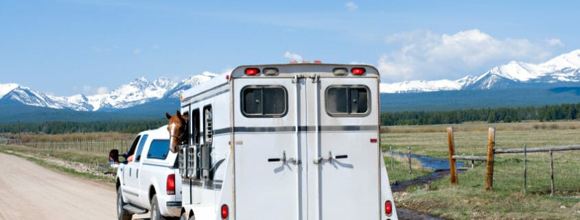 A horse inside of a horse trailer being pulled by a truck down a rural road