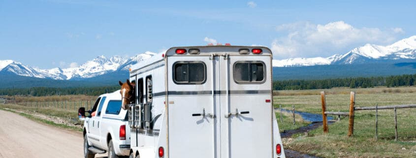 A horse inside of a horse trailer being pulled by a truck down a rural road