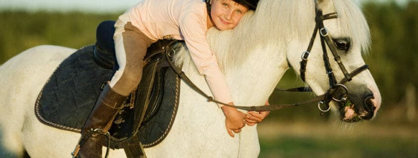 A small child on a grey pony, hugging her beloved pony club mount that is fed a balanced diet