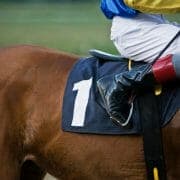 iStock_000006122980Small