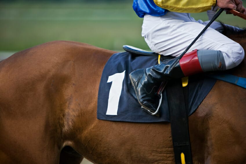 Feeding The Off The Track Thoroughbred