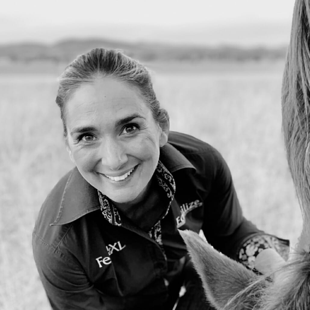 What to Do When Your Horse Won't Eat