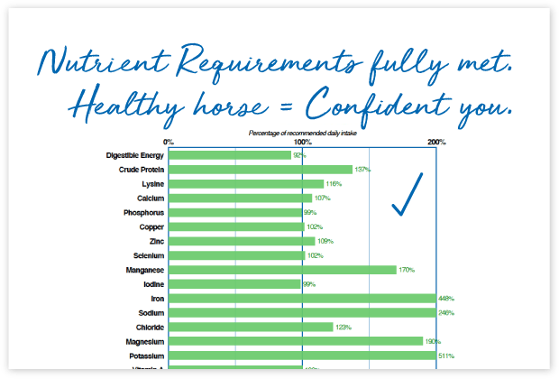 How-will-FeedXL-Help_cards_#1