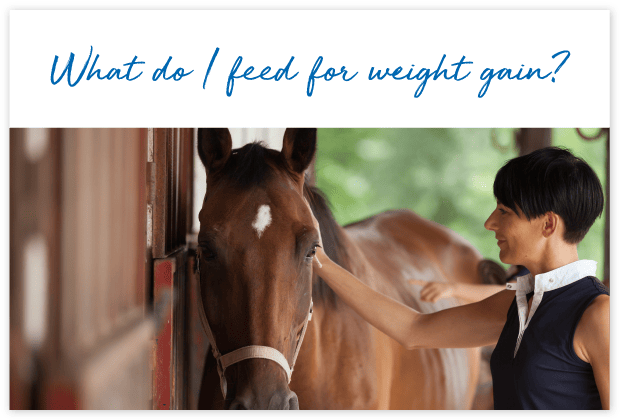 How-will-FeedXL-Help_cards_#11