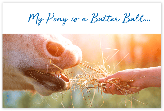 How-will-FeedXL-Help_cards_#12