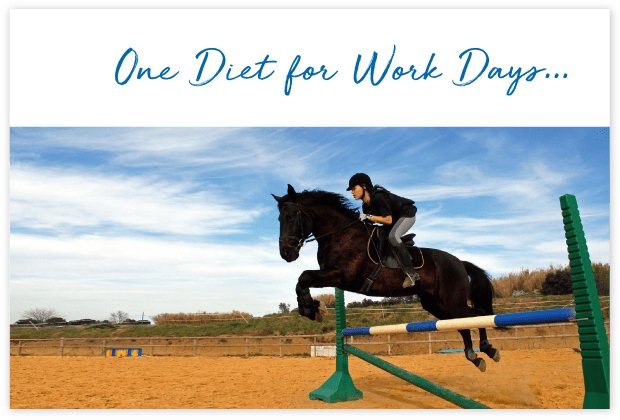 How-will-FeedXL-Help_cards_#2A