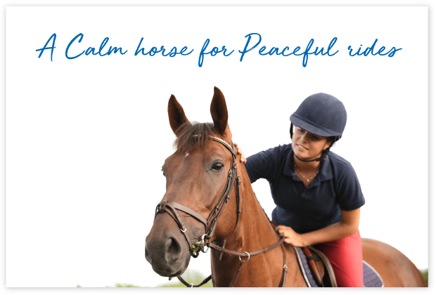 How-will-FeedXL-Help_cards_#2C