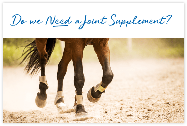 How-will-FeedXL-Help_cards_#4