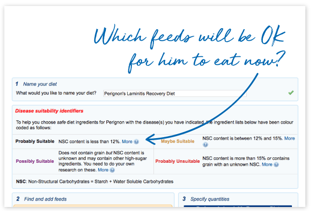 How-will-FeedXL-Help_cards_#8