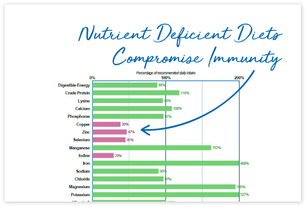 How-will-FeedXL-Help_cards_#9