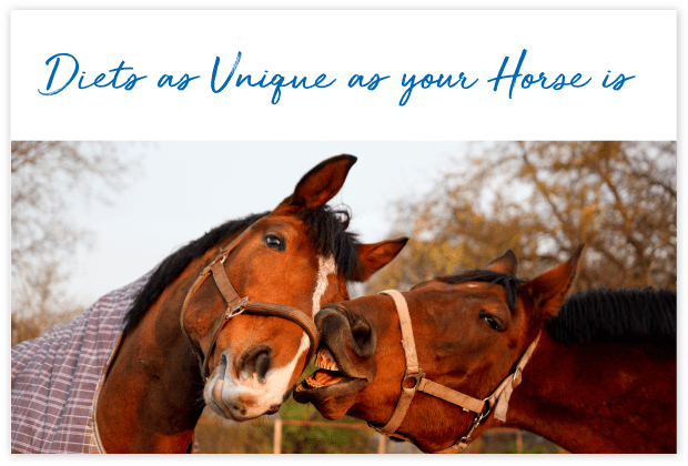 Tools-Page_cards_#10