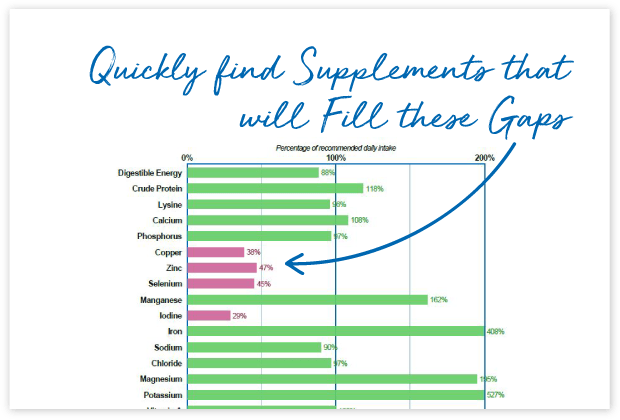 Tools-Page_cards_#7 Fill nutrient gaps easily with our Supplement Finder tool
