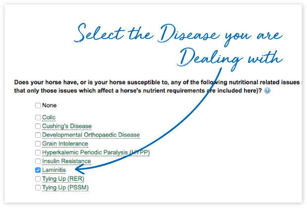 Tools-Page_cards_#8A