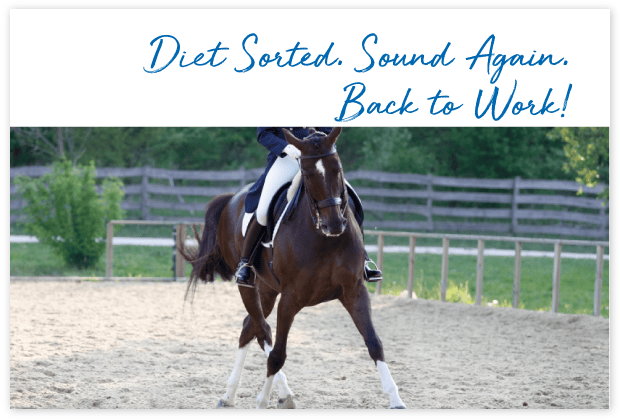 Tools-Page_cards_#8C