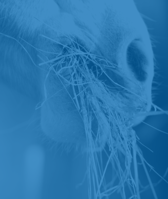 Reduce Feed Costs