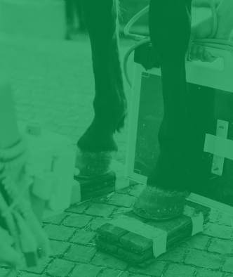 Diseases + Metabolic Issues