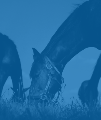 Adjusting For My Hay + Pasture