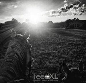 Hunter-Glisson-Warner_B&W332