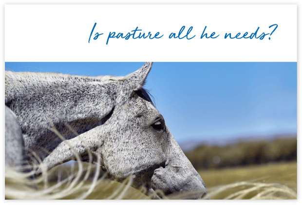 Who-uses-FeedXL-page_cards#10