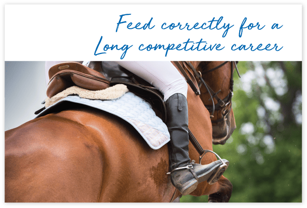 Who-uses-FeedXL-page_cards#4