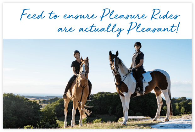 Who-uses-FeedXL-page_cards#6