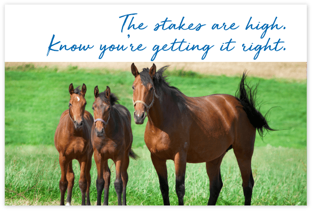 Who-uses-FeedXL-page_cards#7