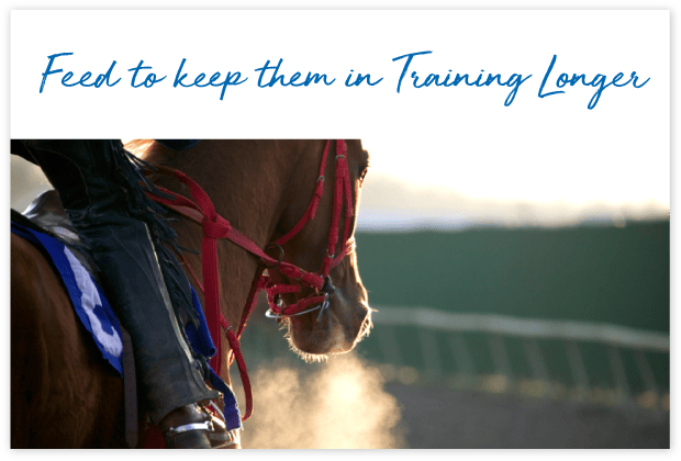 Who-uses-FeedXL-page_cards#8