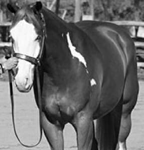 rachel--longworth