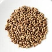 Barley, a cereal grain often fed to horses, in a bowl