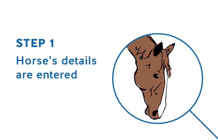 FeedXL Nano - Step 1