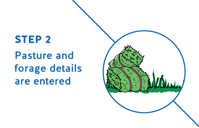 FeedXL Nano - Step 2