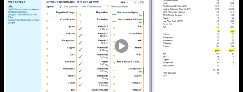 A screenshot of a video showing how to add custom forage analysis into FeedXL