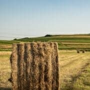 Roundbale photo A large round bale of hay in a field