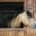 Horse looking out from his stable