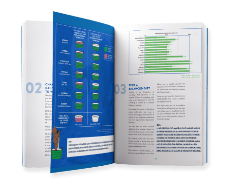 Behaviour-Book-Mockup-vol-2 Feeding-For-Behaviour-Book-Mockup