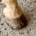 Cracked horse hoof