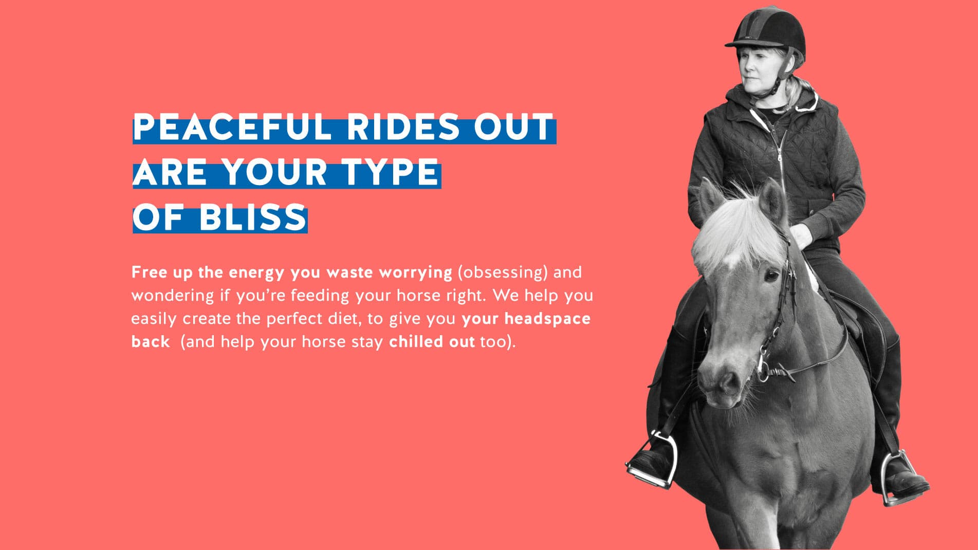 FeedXL promotion showing female rider on a brown horse.