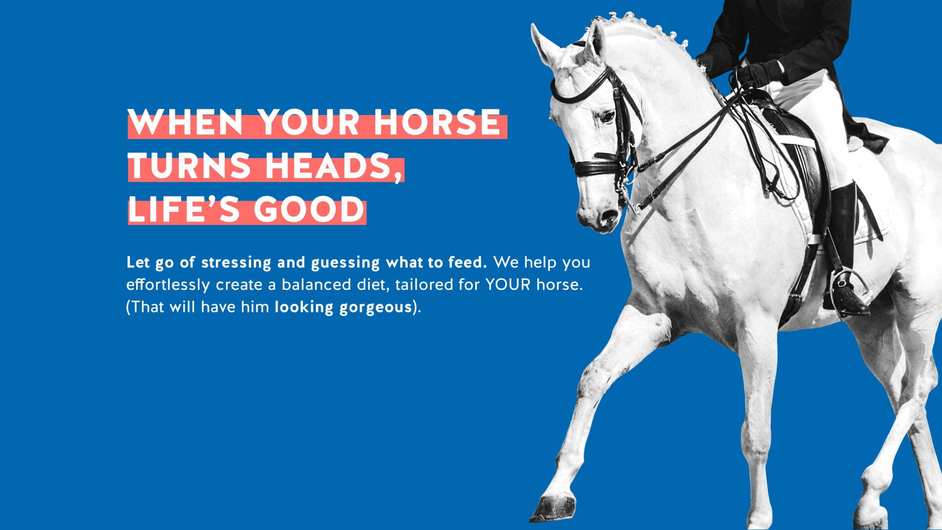 FeedXL promotion showing rider on a black horse.
