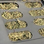 Alfalfa grass hay in feeder