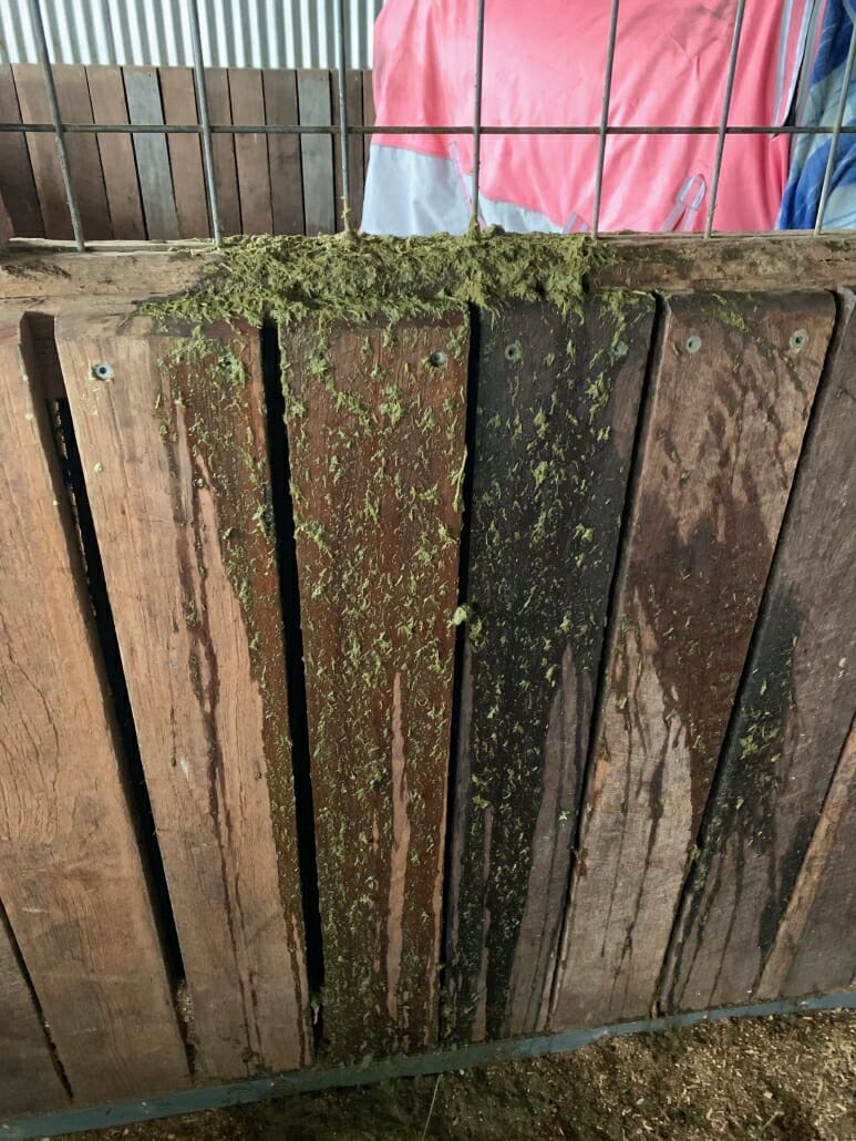 Manure Score Chart How to Quickly Check Your Horse's Hindgut Health