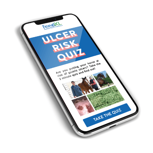 Ulcer Risk Quiz on phone screen