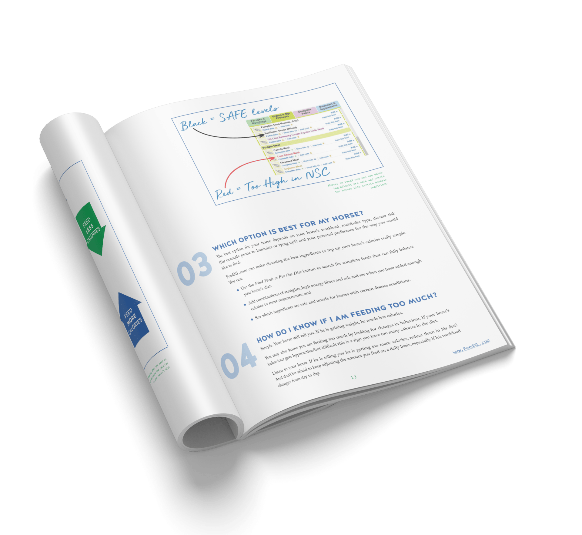 Simple Diets Ebook pp10-11