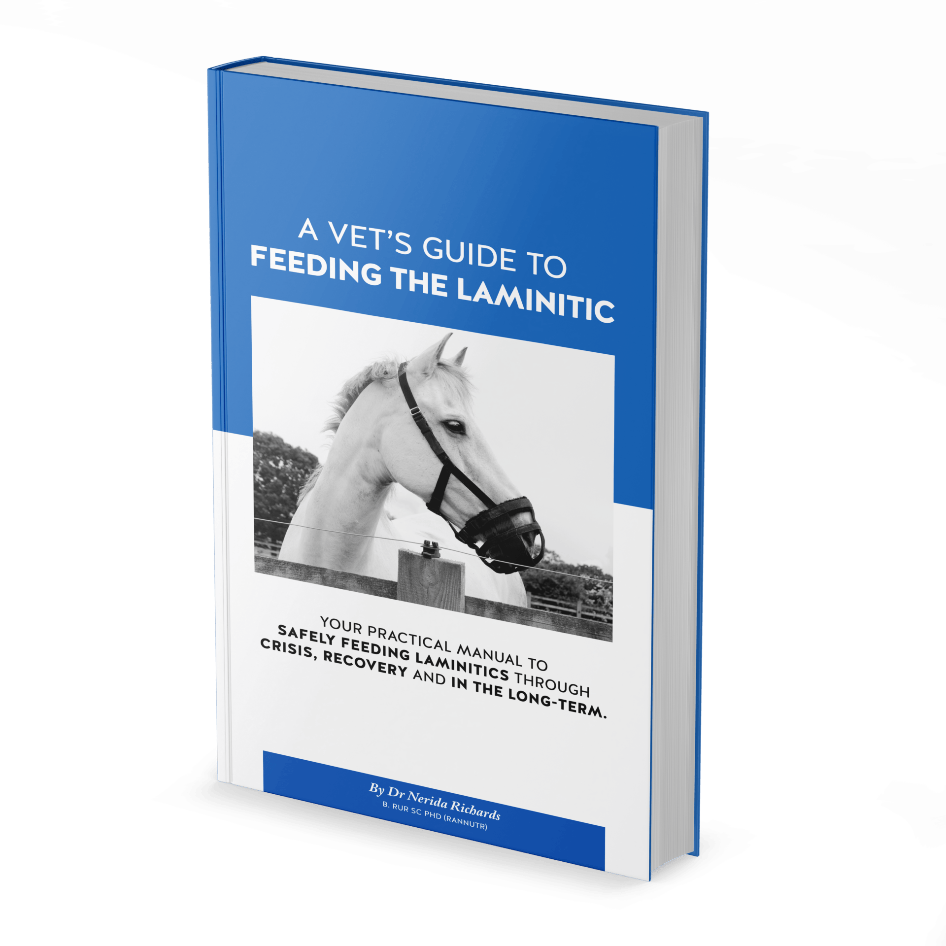 Teff Hay for Laminitic Horses