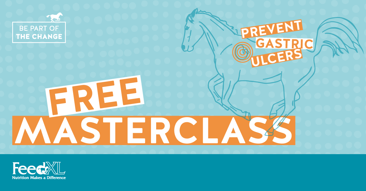 FB_Prevent-Gastric-Ulcers_Feb2021 (2)